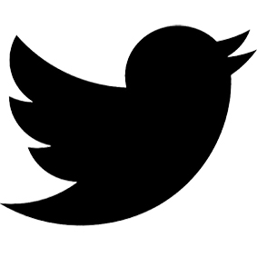 twitter-web-logo